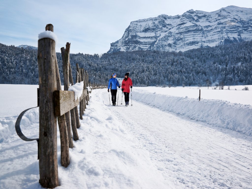 Winterwandern Mellau Damüls